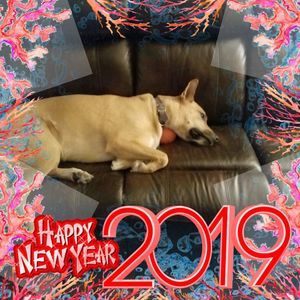 Meet your Posher, Wayne